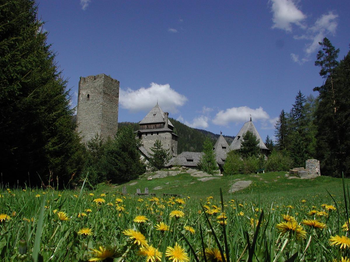 Burg Finstergrun Hostel Ramingstein Buitenkant foto